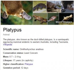Platypus Knowledge